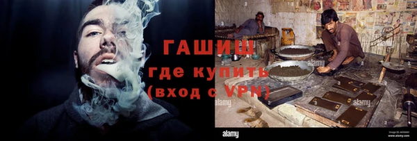 гидра Богданович