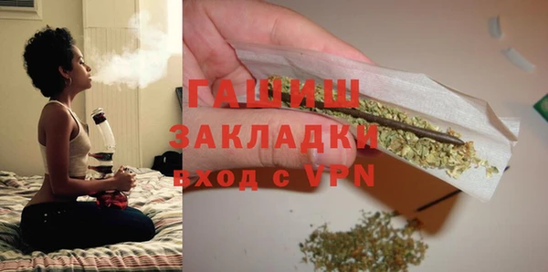 гидра Богданович