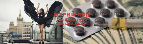 гидра Богданович