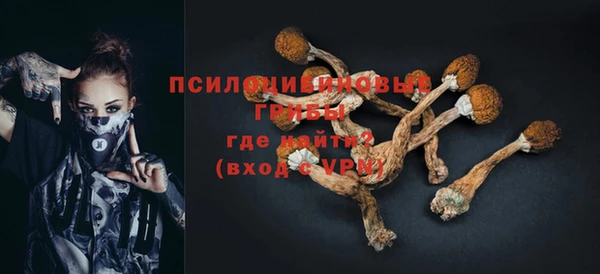 спайс Богородицк