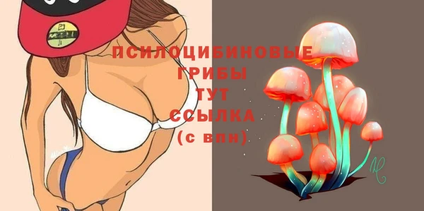 спайс Богородицк