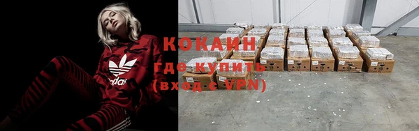 гидра Богданович