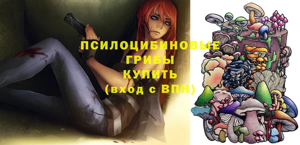 гидра Богданович