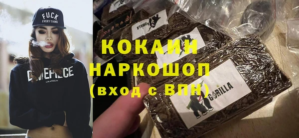 гидра Богданович