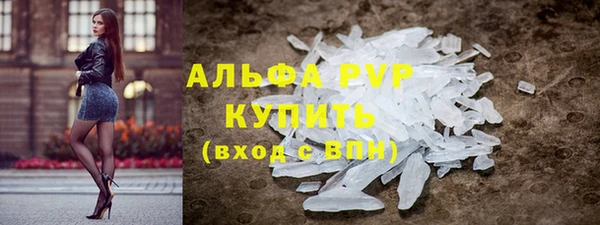 гидра Богданович