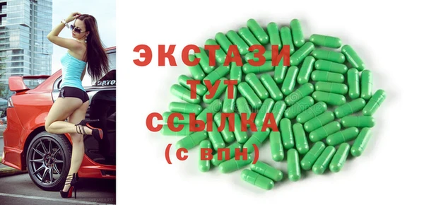 гидра Богданович