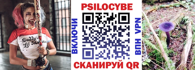 где можно купить наркотик  Добрянка  Псилоцибиновые грибы прущие грибы 